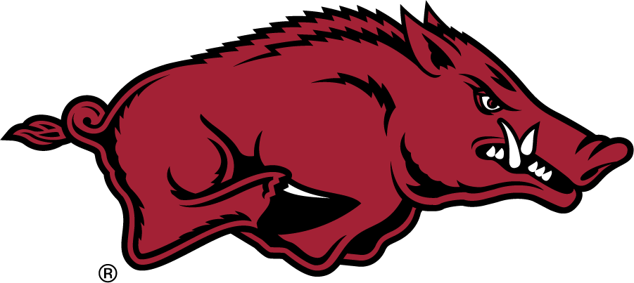 Arkansas Razorbacks iron ons